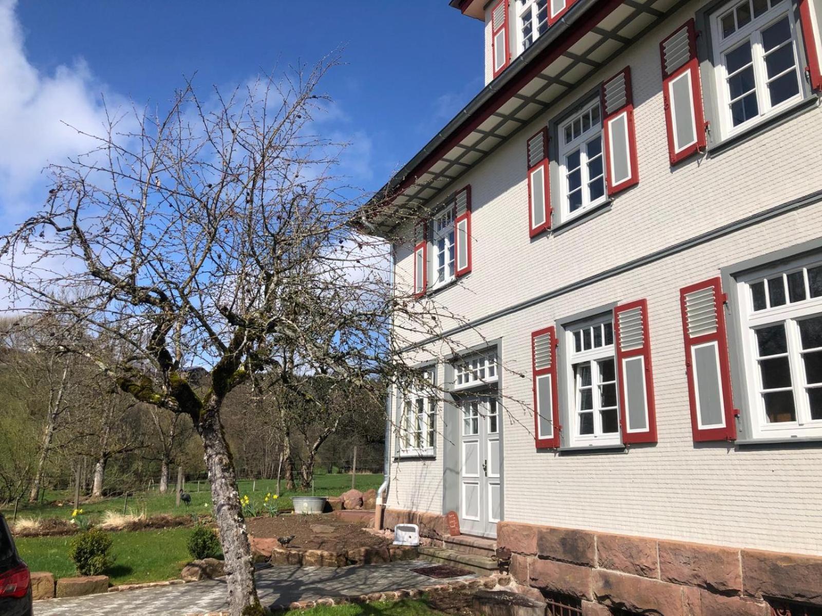 Ferienwohnung Am Stockerbach Freudenstadt Kültér fotó